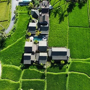 Ananda Jj & Indonesia